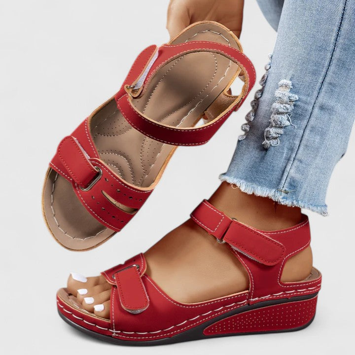 Red / 43 EU