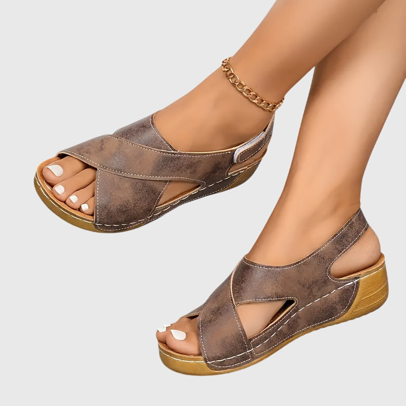 Terra Brown / EU 35
