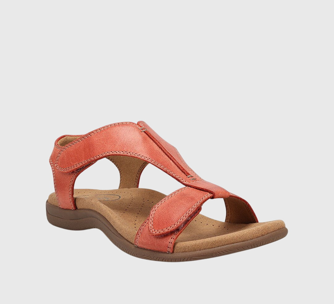Orange / 43 EU