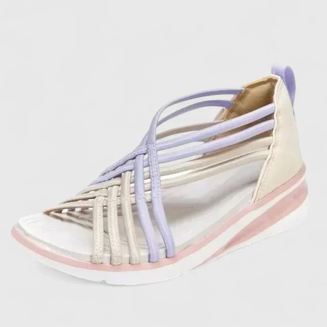 Purple / 43 EU