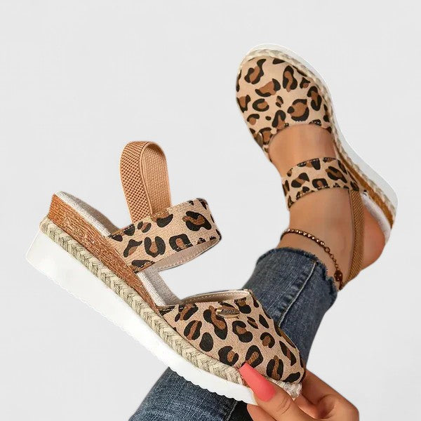 Leopard / 42 EU