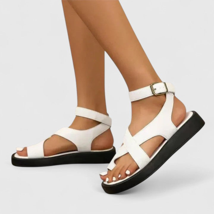 White / 43 EU