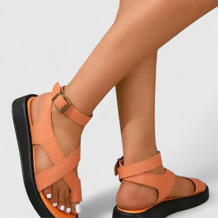 Red-Orange / 43 EU