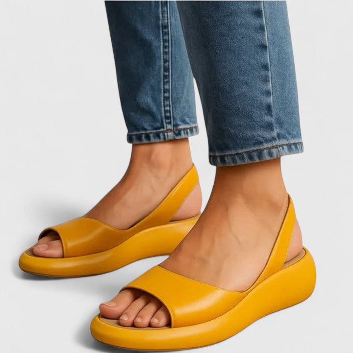 Yellow / 43 EU