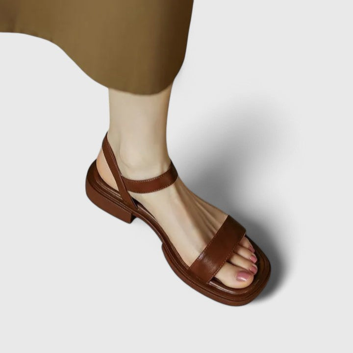 Brown / 43 EU