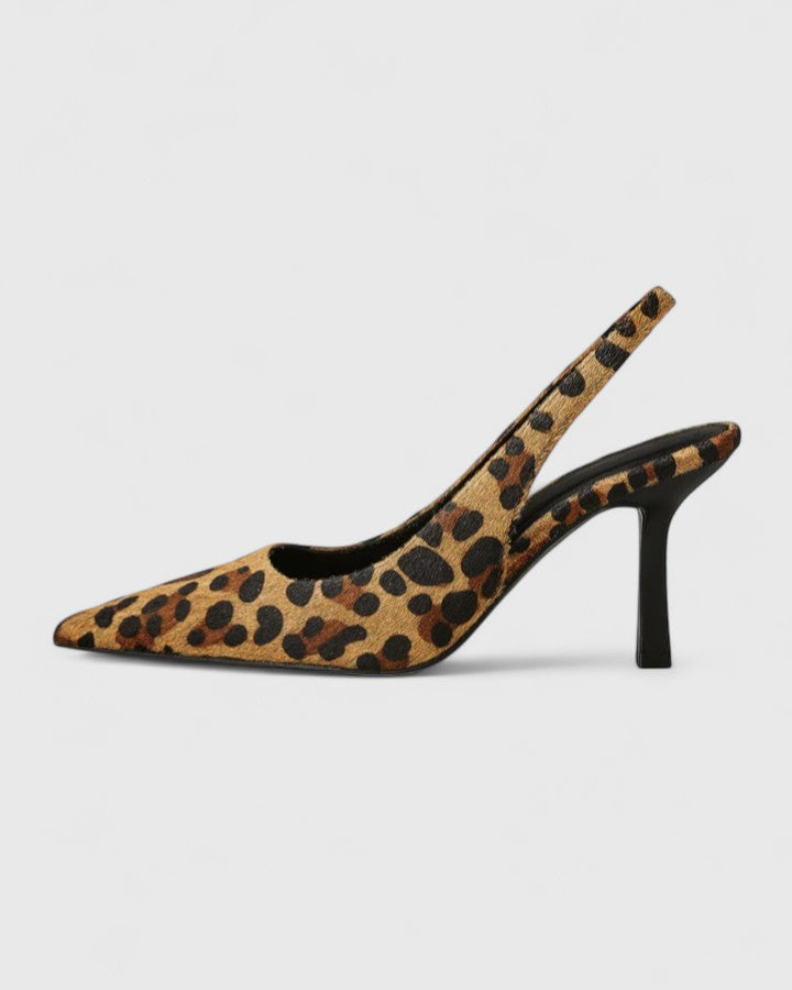 Leopard / 43 EU