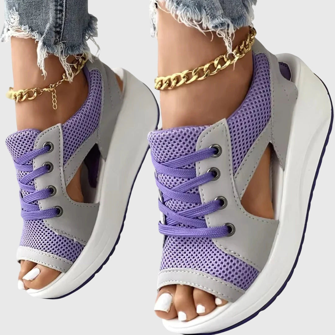 Purple / 43 EU