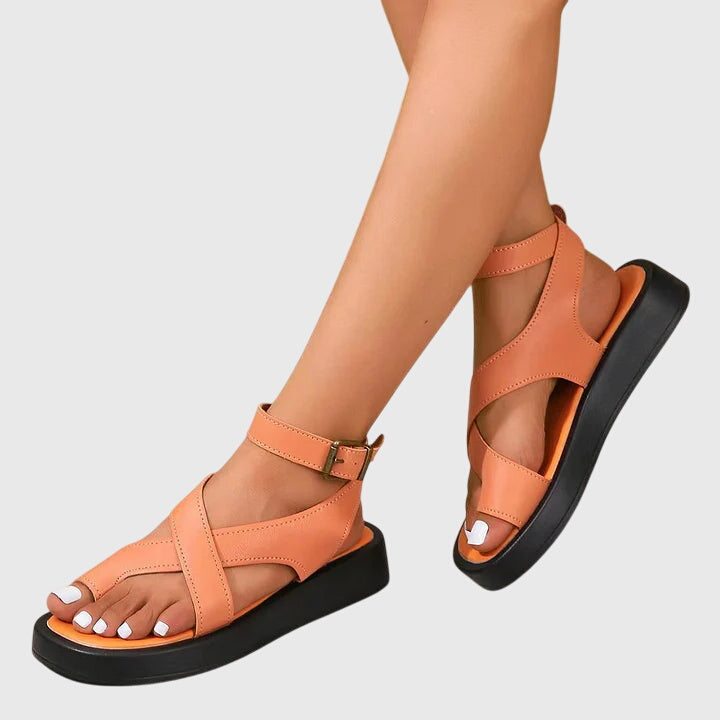 Orange / 43 EU