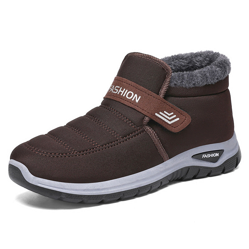 Brown 2 / 41 EU